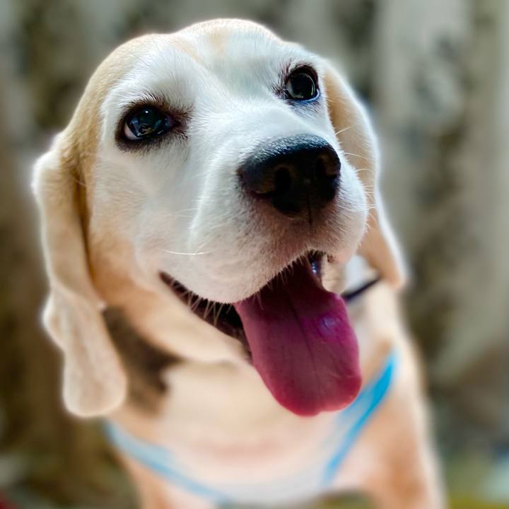 88378136 85e2 4a9d b268 04088eea5075 1626840794855