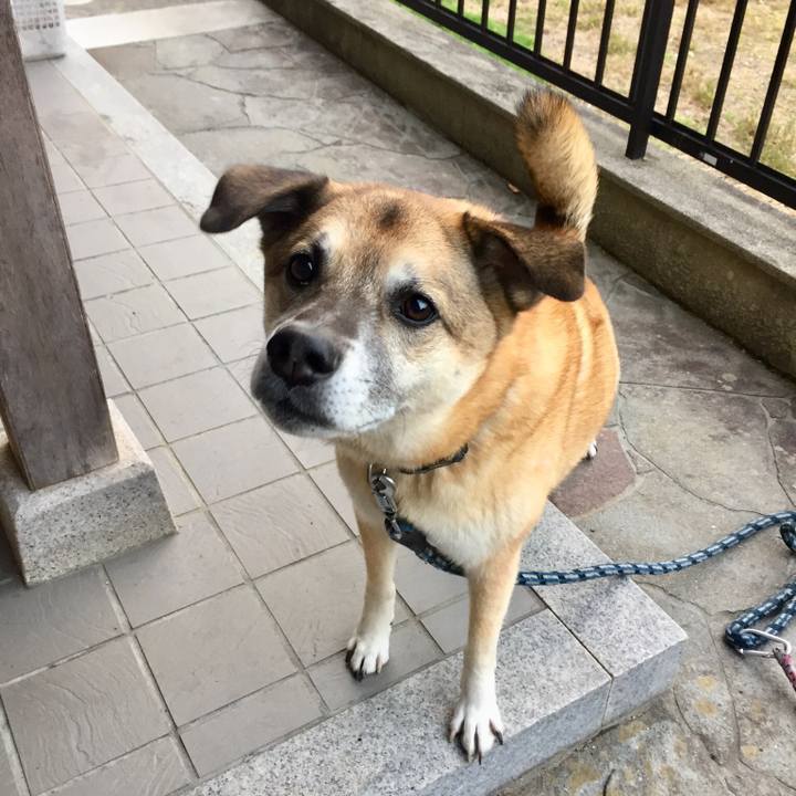 883785de fb21 488b b743 19fd8fde594b 1542549890750