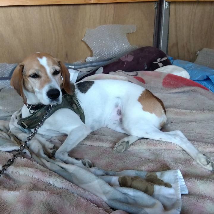 8837a9c5 02ad 4174 8f7f c5f10f88323a 1698902898218