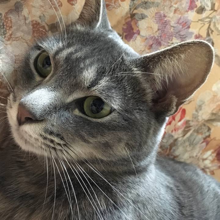 8837c45c 4c5f 4e96 bbce ee04dc602ab5 1510410163114