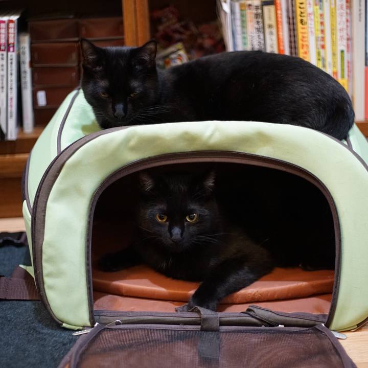 8837df51 75e3 487d b3cb b63c5ee7c3ad 1521984978873