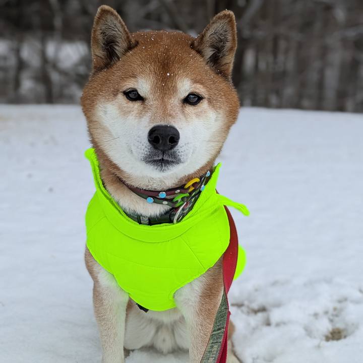 8837e0a2 5905 4a64 902e f5885afa232b 1770530781458