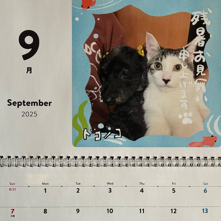 88381ab1 c3ac 4a8a 8aee 511fa7bbc6a7 1756767261107