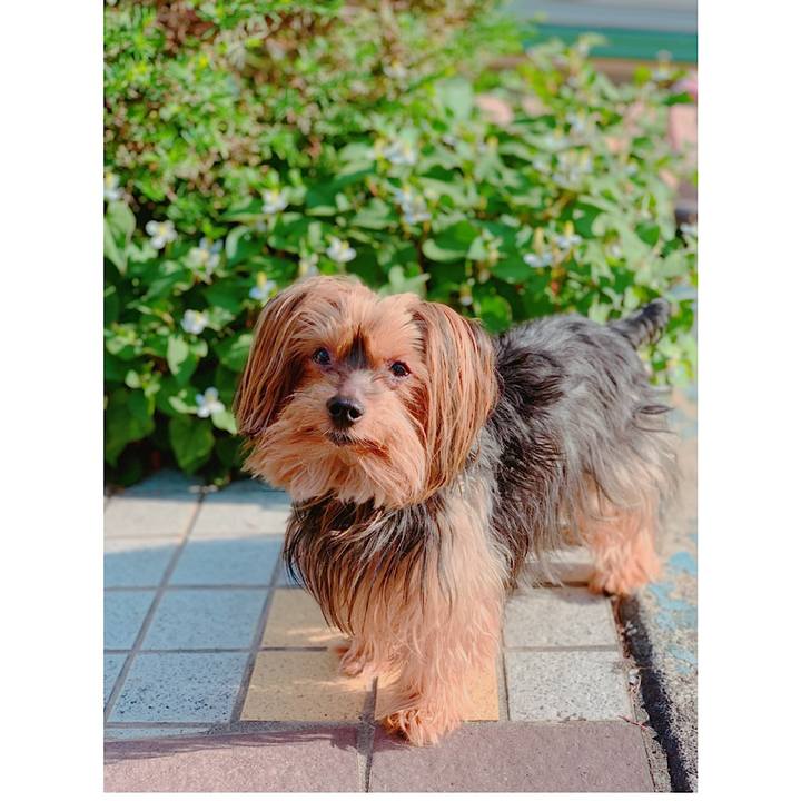 88384be5 06eb 46ec bedc 5913cc65567c 1558908216482