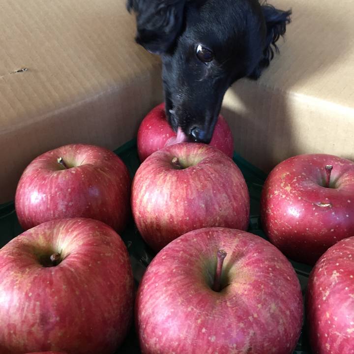 883877bb 630b 4237 ab8b c13fa0181e73 1703386376080