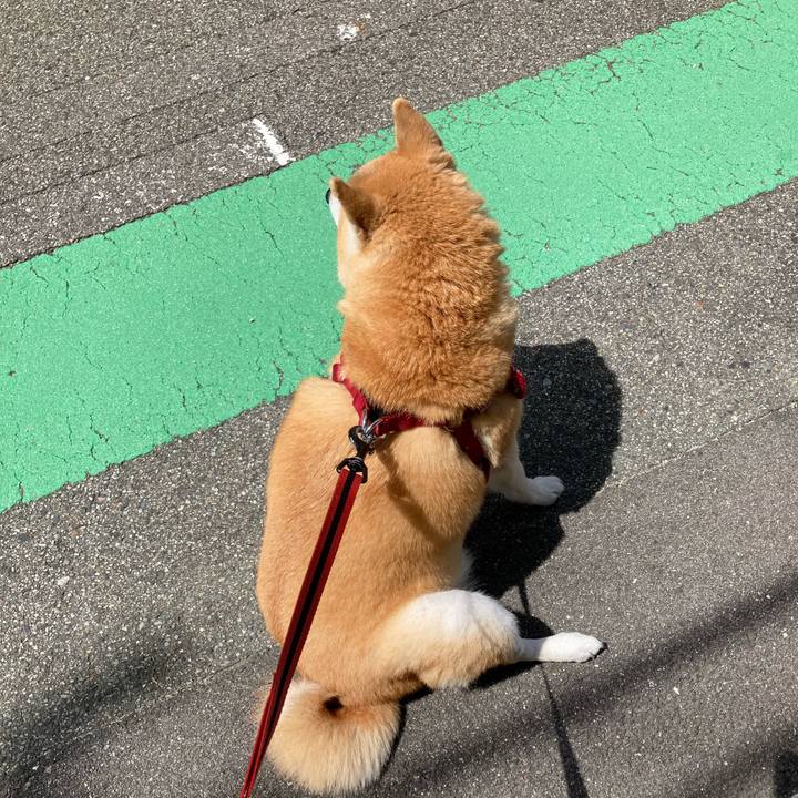 8838cc8b 84fb 4bab 970b b6d9633354f3 1624288612848