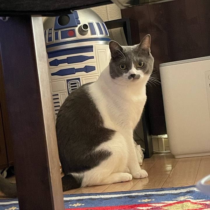 8838cf89 dedb 4567 be7e ea2159130411 1663541788054