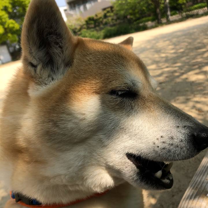 8838e15e fb85 4fbb 9700 08470f62deba 1587210276882