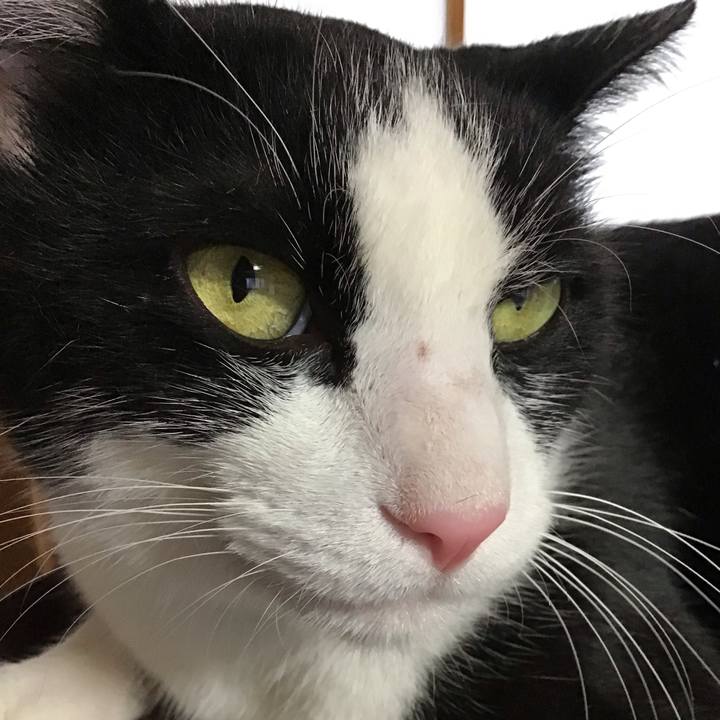 8839100b cd07 4224 993f eb5cc8f4f86c 1755245096955