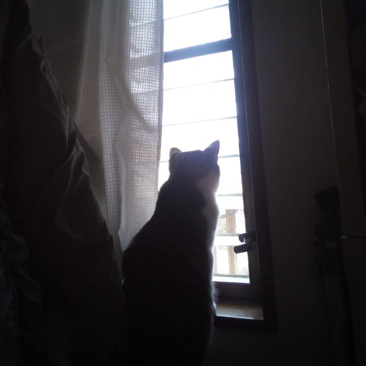 883931eb 90d2 46d8 88f8 4a804b0ed001 1607865618997