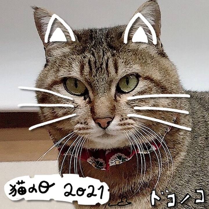 88393be3 63a5 4a96 be55 d3f5389c4ef9 1613972988811