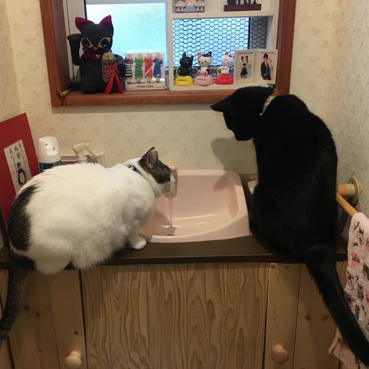 883972eb 89a8 447f 924b 183e55a5c151 1527256041797