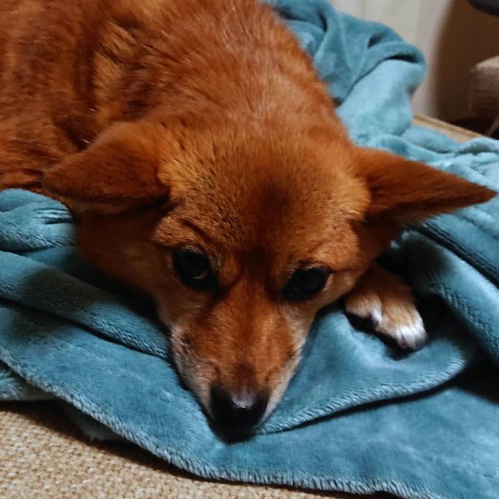 88397c01 08fa 4791 a829 538e8a2ddc09 1583158062293