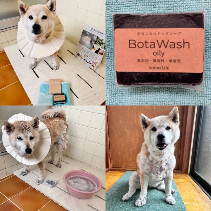 8839a09f f11a 4443 b24d 363bb83a1821 1747467635329