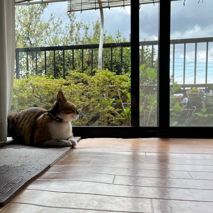 8839acd2 57a0 425a 8f64 5091410fb44d 1680925807397