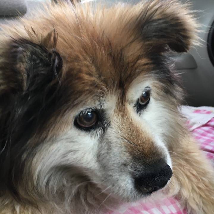 8839f4f8 6b19 4d92 ad15 cb6338084b97 1580700848588