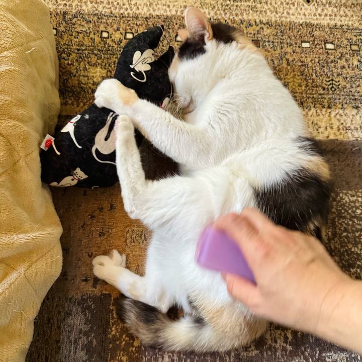 883a1d31 c006 4e98 b305 1f60a50a86e8 1700359345316