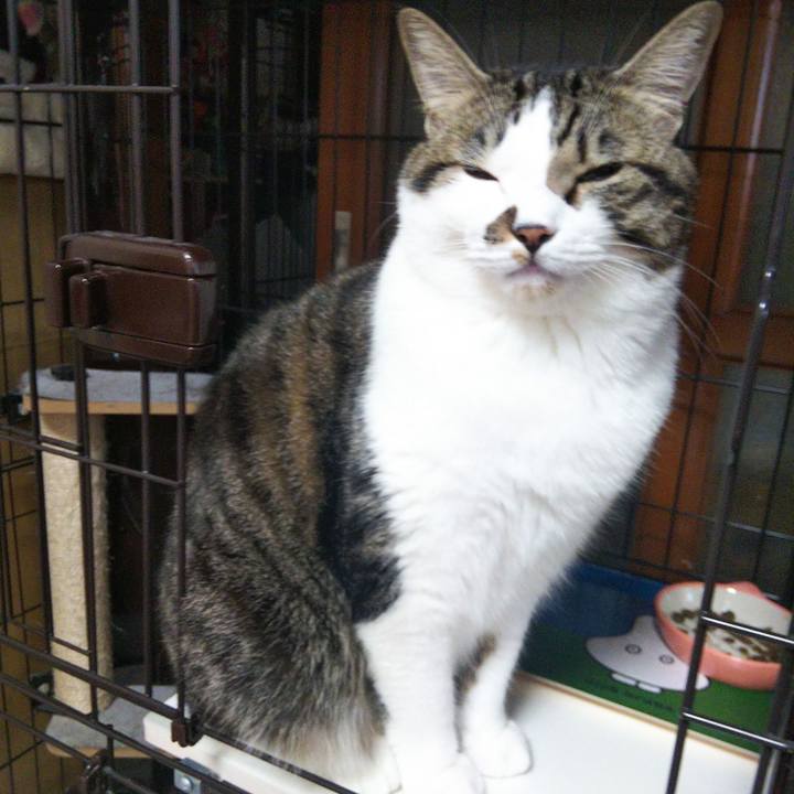 883a52b4 3baf 442d ad09 58a0bceac62c 1665142368192