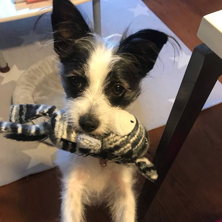 883a6800 665a 4d2f b78a 33cefe3ad6ad 1547883241914