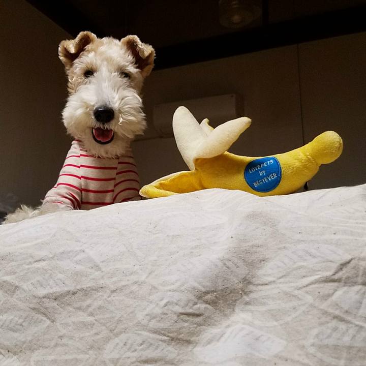 883a6eac 39da 41b1 8b63 43576c625b4e 1516447643527