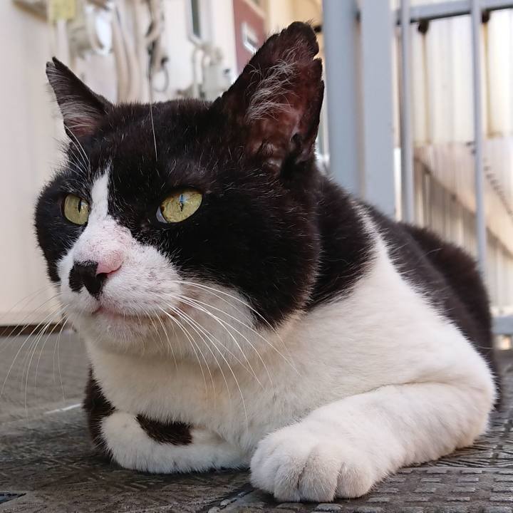 883a7159 043e 4e19 9130 c97e81dfd768 1632115333279