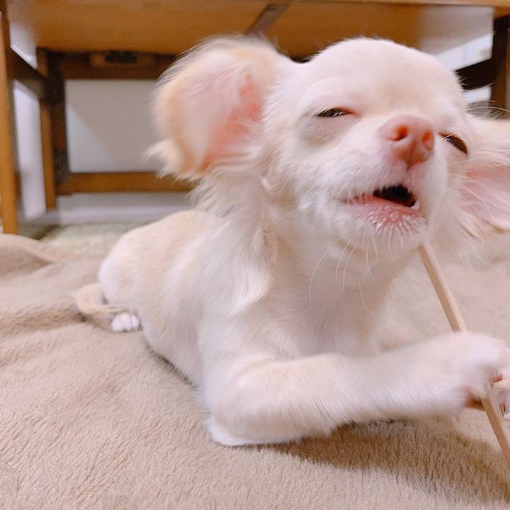 883a769e cc5a 4a03 96cb eaa190d0d48a 1594632700063