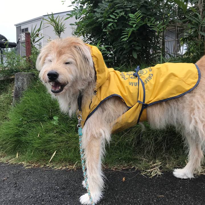 883ab537 d602 4be8 8487 fe588b333105 1631621281048