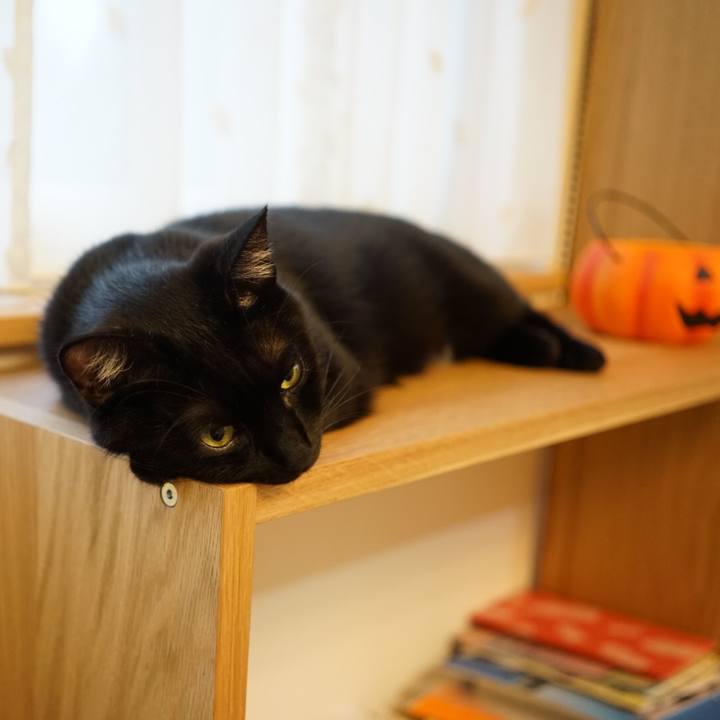 883ab619 3022 4ad0 84e8 0d3a647b1676 1539214879700