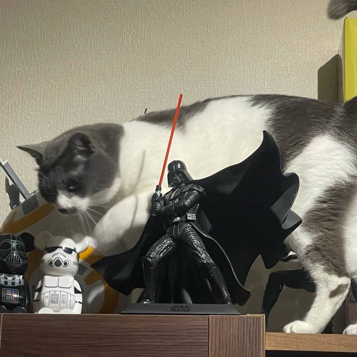 883acd49 1d5c 4f83 bb21 0fc9bf36148f 1623838065616