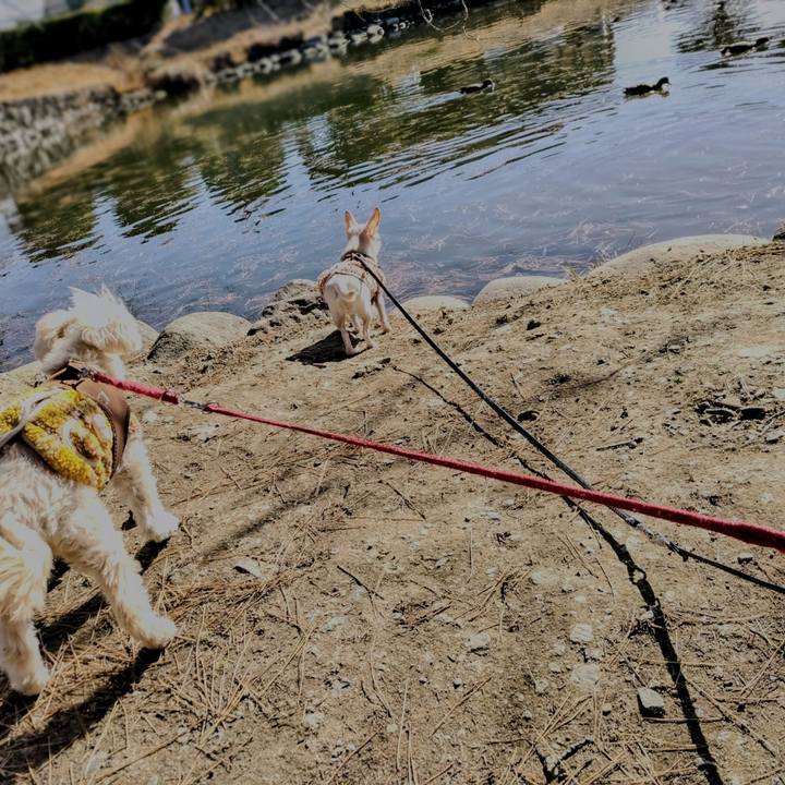 883b1d30 c482 4a5b bda7 466ad53b13ef 1706430066538