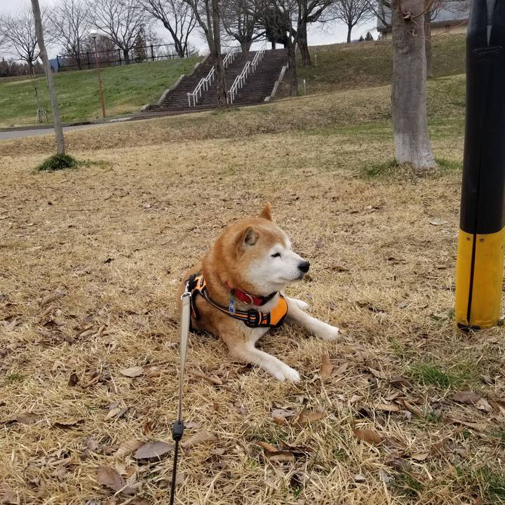 883b24ad 6c57 4f90 8749 9037d2770060 1712289149541