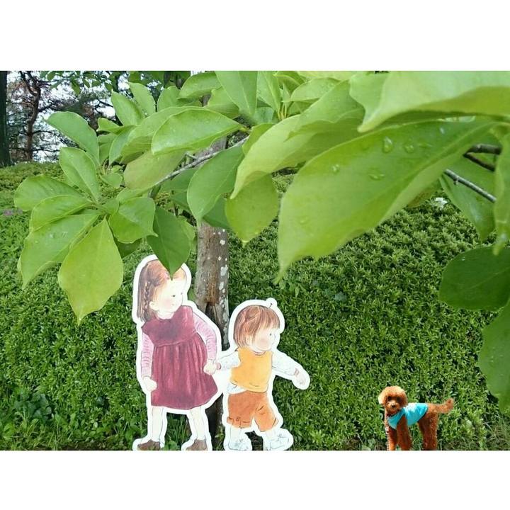 883b3629 2327 44df b7b0 195d863bb080 1525920035246