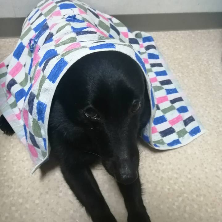 883b53b0 c999 4ebd b2ab 57dc0fd4258a 1622118010949