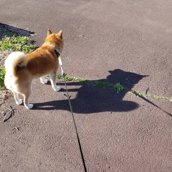 883baaac 184b 4b39 95eb 2fa435411274 1619074602342