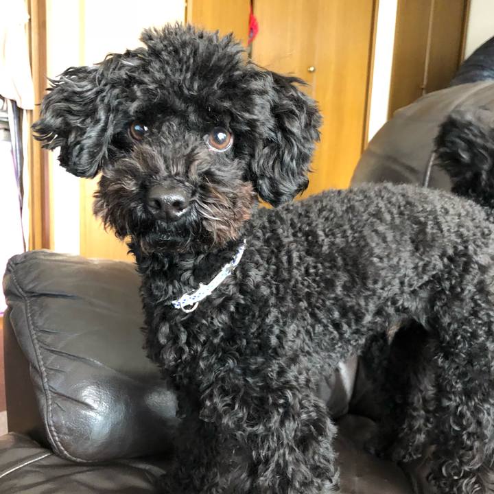 883bc678 82d3 4244 8600 e3e28ba8de8c 1515283927025