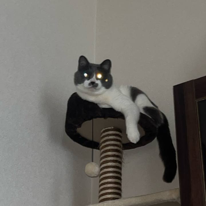 883bd191 d460 49d4 89fd c47b79340ba8 1685607058256