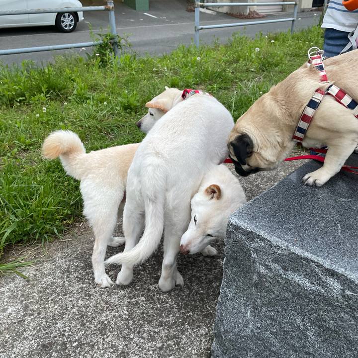 883c03e0 3558 48be b4eb d794722ac4ba 1650888524429