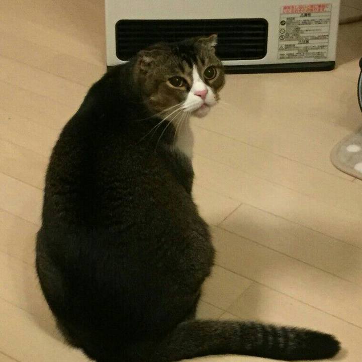 883c26df 3c2e 4231 af2b d94cb50bca30 1515757836980