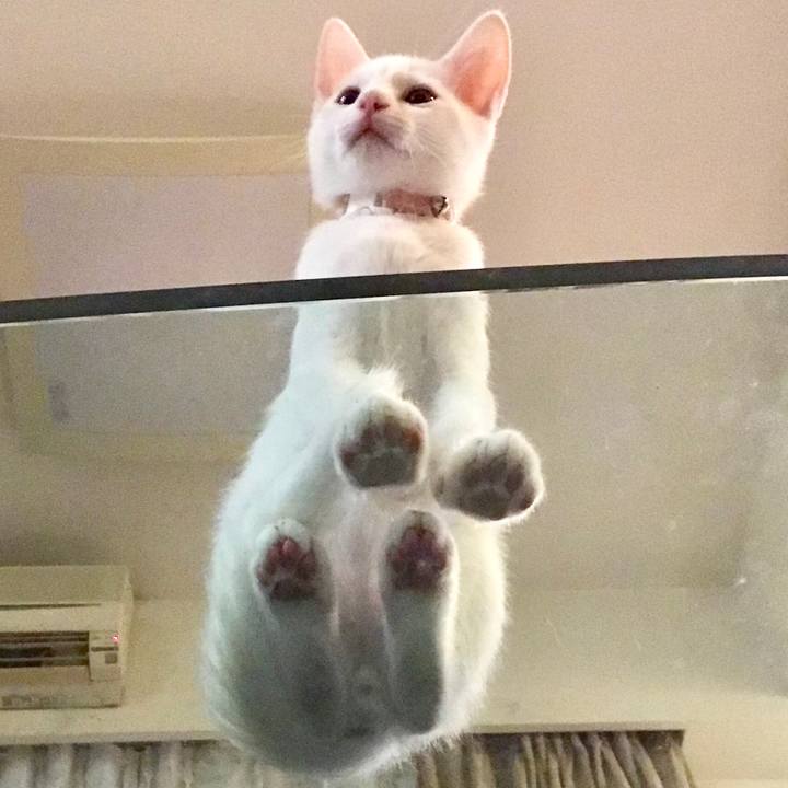 883c4db3 b427 4d3a a586 b51c9ae93c65 1567161609334