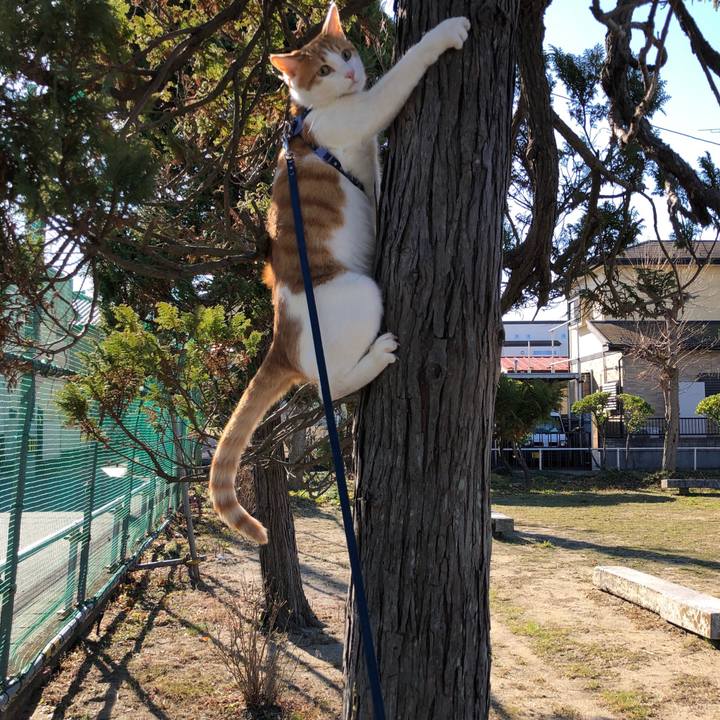 883c9a60 3f46 4606 997a 444dea4b262d 1543736187666