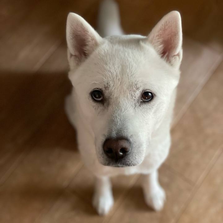 883cba9e 2464 46dd bdc6 a17e0ecb428a 1653476680480