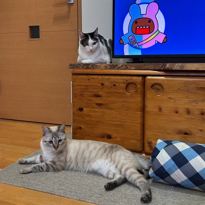 883d6bde f1ff 45b0 a9ee 1ab3f87f0feb 1760878624353