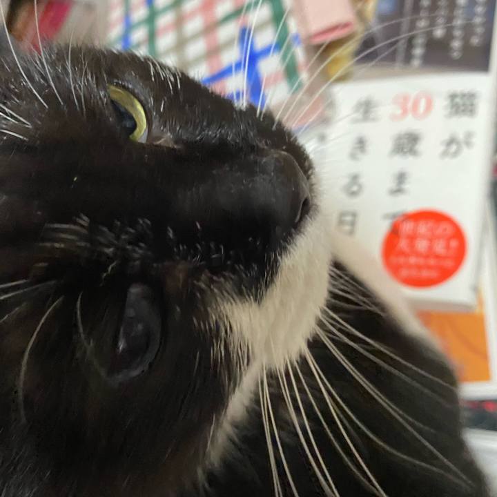 883d6ecf d899 44ac 9468 be8383dc42bb 1629660447024