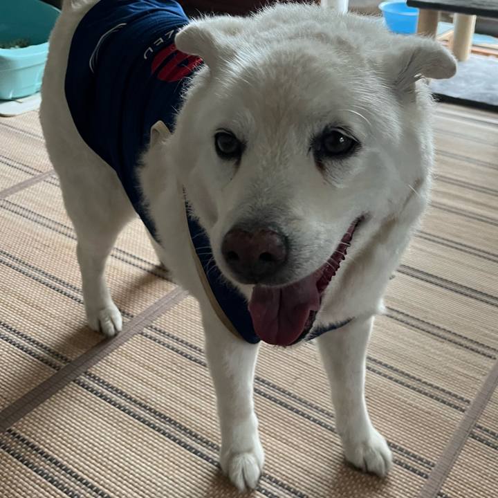 883d99a0 6bd9 4dbe b636 89c1843da737 1760656208884