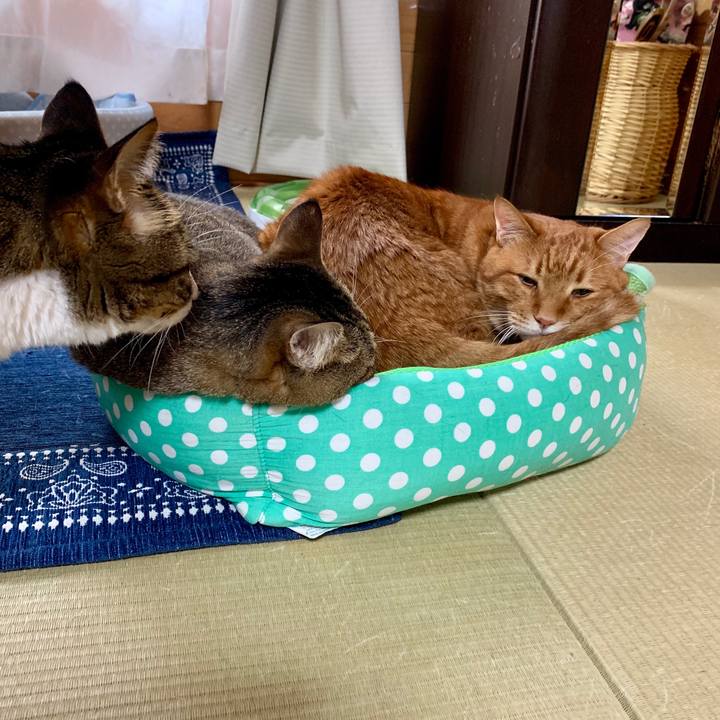 883db7b2 722d 4fd3 9bd1 8c6fd6d81a63 1560832330044