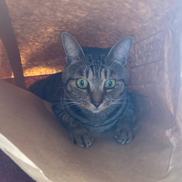 883dc613 23bf 4916 9446 4afd9d3e5c54 1699147919623