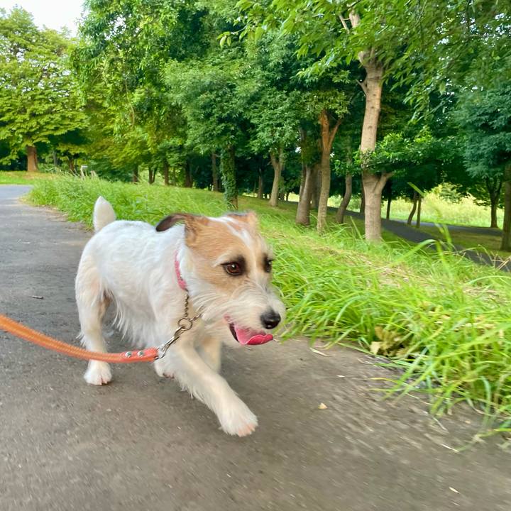 883dcb72 7720 4b0e 9fe9 ddc999d945f2 1656503514714