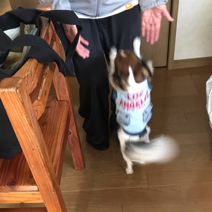 883dd537 309f 4668 9842 e2141bb25208 1543506247120