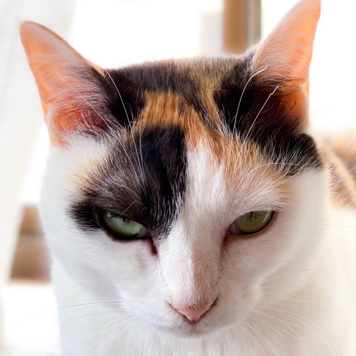 883de2dd 7793 45ec b5cd aa2c22426e53 1563586216556