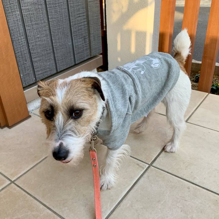 883de819 21ce 401c a0d7 5240e93a4bc6 1611312838347